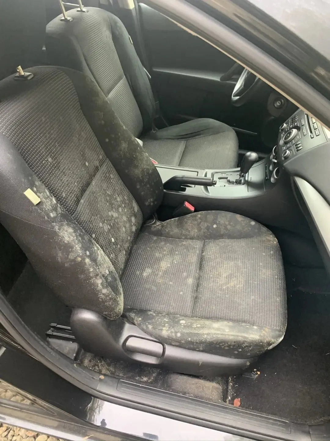 Before: driver seat with mold growth